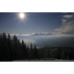 _MG_0506