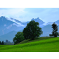 _MG_1136fb2